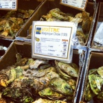 oysters at the market
